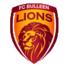 布琳狮子U23logo