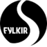  费基尔logo