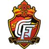  庆南FClogo