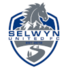  塞尔温联合logo