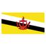  文莱logo