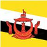  文莱U19logo